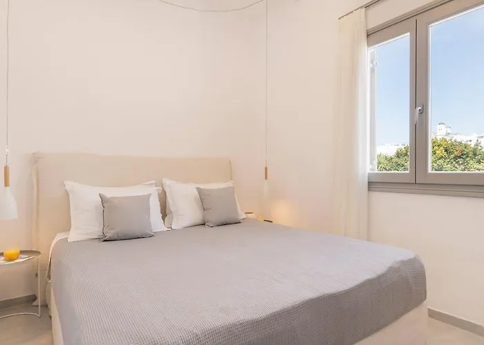 Afluencia Complex No 4,5,6 Lejlighed Naousa