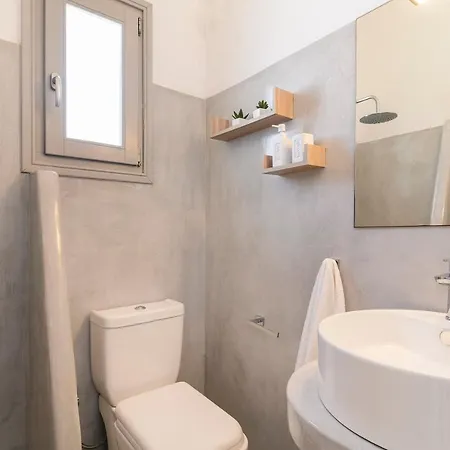 Afluencia Complex No 4,5,6 Apartment Naousa (Paros)